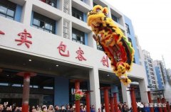 醒狮贺岁，开云手机官方版登录入口-开云(中国)2019年开工大吉