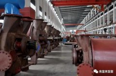 开云手机官方版登录入口-开云(中国)被评为2019年度三水区骨干企业